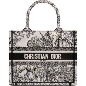 Christian Dior Small Dior Book Tote